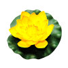 Velda drijvende waterlelie, lotus foam yellow, 17 cm 