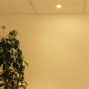 Adurolight® inbouwarmatuur, Mona, kantelbaar, ovale opening, mat zilver reflector, 80mm, excl. spot 