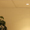 Adurolight® inbouwarmatuur, Mona, kantelbaar, wit, mat zilver reflector, 82 mm, excl. spot 