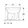 Geberit closetpot, type 300 basic 96, 390 x 355 x 470 mm, spoelrand, vlakspoel, uitlaat AO, wit 