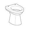 Geberit closetpot, type 300 comfort 93, 450 x 355 x 470 mm, spoelrand, vlakspoel, verhoogd, AO, wit 