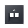 Jung afdekplaat, A range, voor Modular Jack, 2-voudig, antraciet 