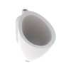 Geberit 300 urinoir, boveninlaat, afvoer vloer, 525 x 350 x 400 mm, wit 