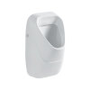 Geberit 300 urinoir, achterinlaat, afvoer achter/onder, 570 x 340 x 340 mm, wit 
