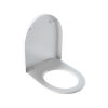 Geberit closetzitting, type 300 Basic, 37 x 45 cm, deksel, chr schar, montage boven, softclose, wit 