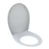 Geberit closetzitting, type 300 Basic, 36,5 x 44 cm, deksel, rvs scharnier, montage onder, wit 