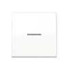 Jung Home stuurafdekking, AS range, 1-voudig, alpin wit 
