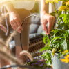 SummerRain druppelsysteem voor balkon en terras, max. 5 bloempotten 