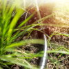 SummerRain druppelsysteem voor borders en hagen, l = 25 m 
