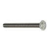 Steelies Ultimate tapbout, rvs, DIN 933, M5 x 21 mm 