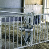 Suevia drinkbak, rvs, type 1200, incl messing ventiel, geschikt voor rundvee 