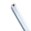 Osram Lumilux T8, TL-lamp, Cool White, G13, 23 W 