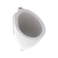 Geberit 300 urinoir