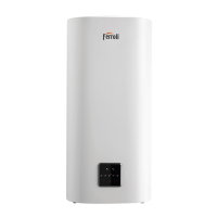 Ferroli boiler, type Titano Twin