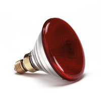 Philips reflectorlamp voor warmtestraler