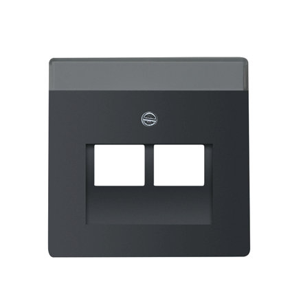 ABB Busch-Jaeger afdekplaat, Future linear, voor Modular Jack, 2-voudig, mat zwart 