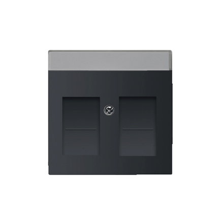 ABB Busch-Jaeger afdekplaat, Future linear, voor Modular Jack, 2-voudig, met schuifjes, antraciet 