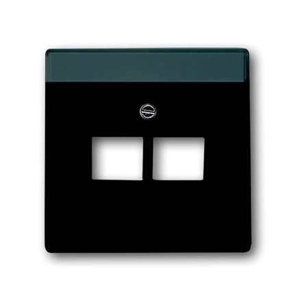 ABB Busch-Jaeger afdekplaat, Future linear, voor Modular Jack, 2-voudig, antraciet 