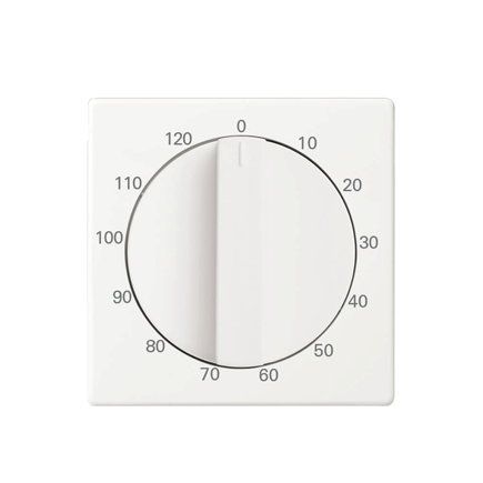 ABB Busch-Jaeger centraalplaat, Future linear, voor tijdschakelaar, 120 minuten, studio wit 