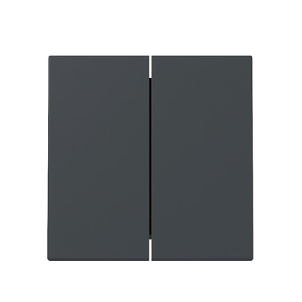 Gira schakelwip, system 55, dubbel, antraciet 