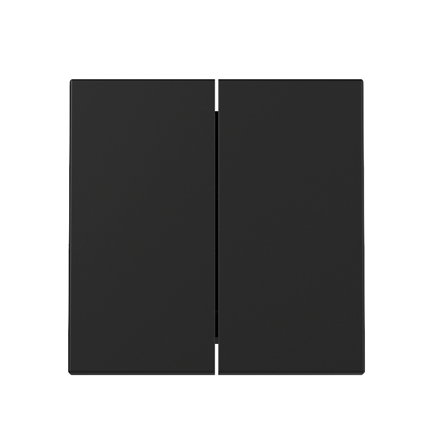 Gira schakelwip, system 55, dubbel, zwart 
