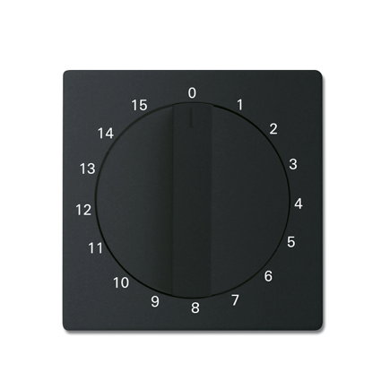 ABB Busch-Jaeger centraalplaat, Future linear, voor tijdschakelaar, 15 minuten, mat zwart 