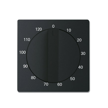 ABB Busch-Jaeger centraalplaat, Future linear, voor tijdschakelaar, 120 minuten, mat zwart 