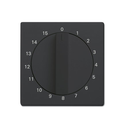 ABB Busch-Jaeger centraalplaat, Future linear, voor tijdschakelaar, 15 minuten, antraciet 