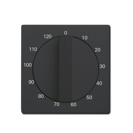 ABB Busch-Jaeger centraalplaat, Future linear, voor tijdschakelaar, 120 minuten, antraciet 