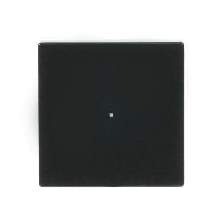 ABB Busch-Jaeger bedieningswip, voor free @home sensoreenheden, mat zwart