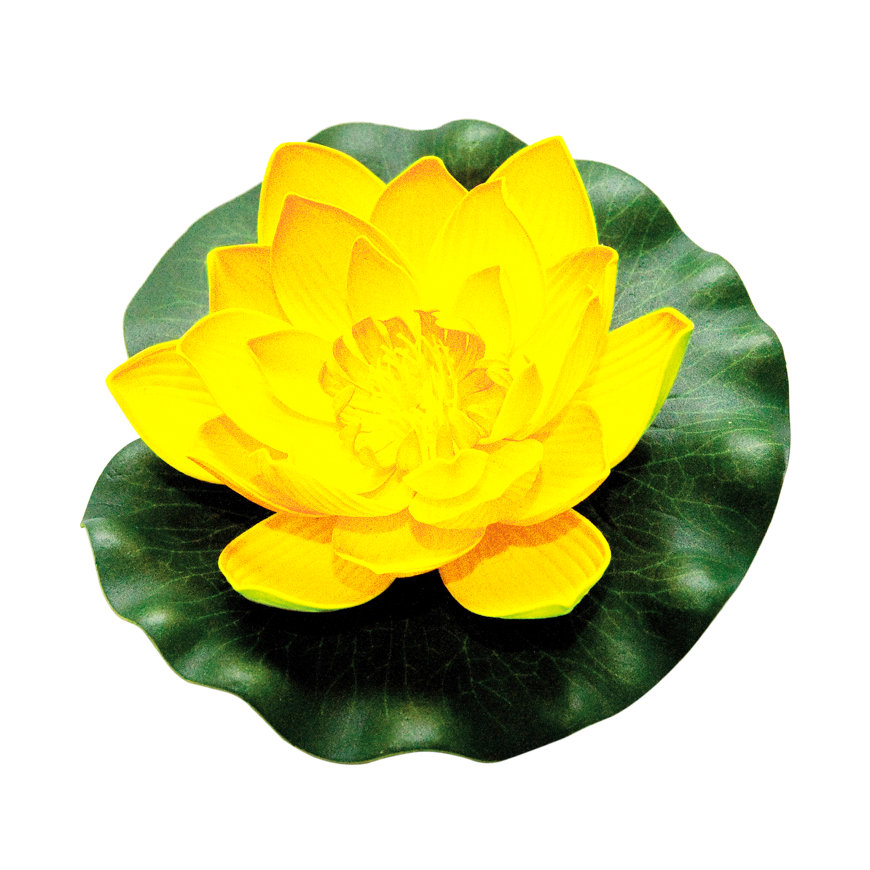 Velda drijvende waterlelie, lotus foam yellow, 17 cm 