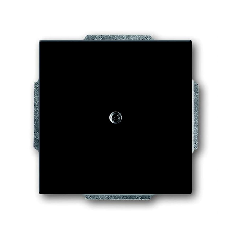 ABB Busch-Jaeger blindplaat, Future, inbouw, antraciet 
