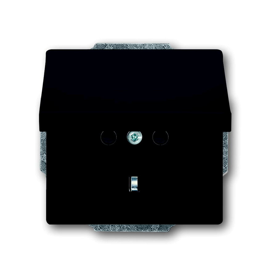 ABB Busch-Jaeger wandcontactdoos, Future linear, met RA, klapdeksel, antraciet 