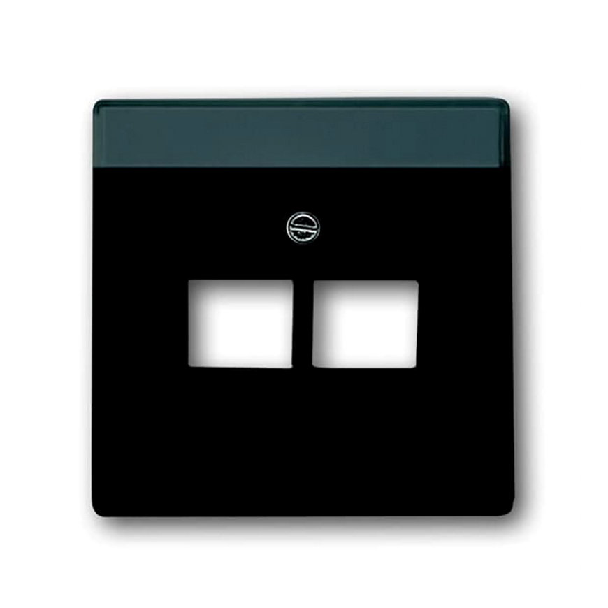ABB Busch-Jaeger afdekplaat, Future linear, voor Modular Jack, 2-voudig, antraciet 