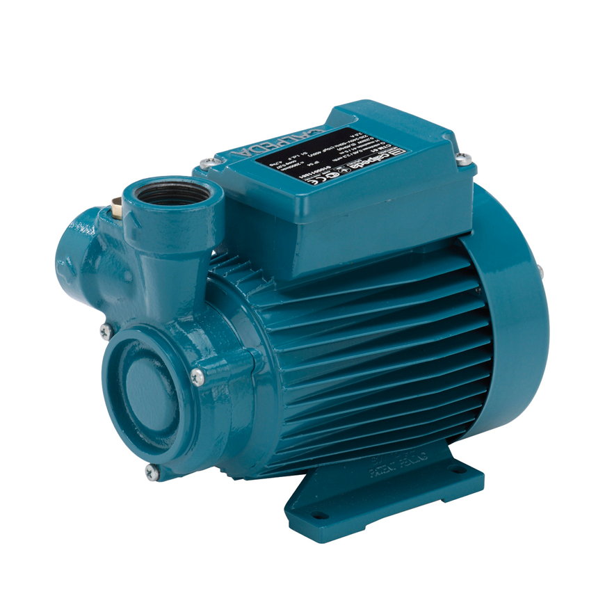 Calpeda Normalsaugende Peripheralradpumpe, CTM 61, 0,33 kW, 230 V, IE2 