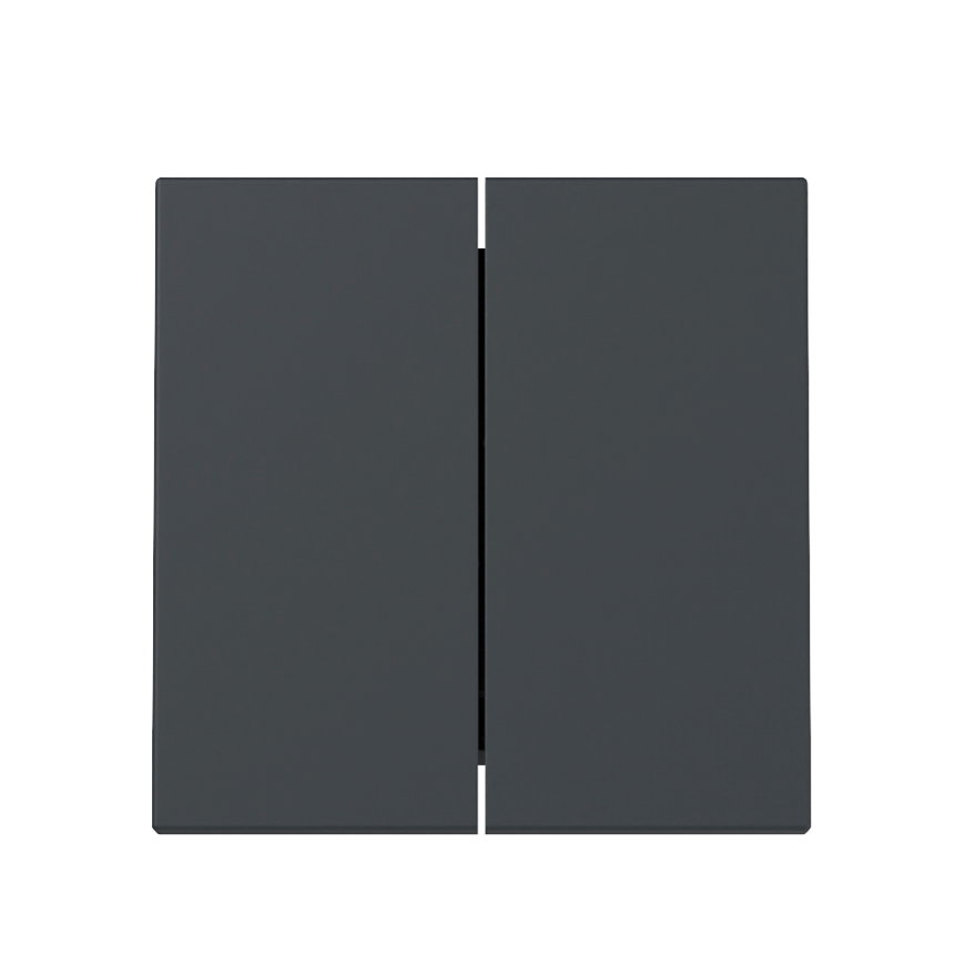 Gira schakelwip, system 55, dubbel, antraciet 