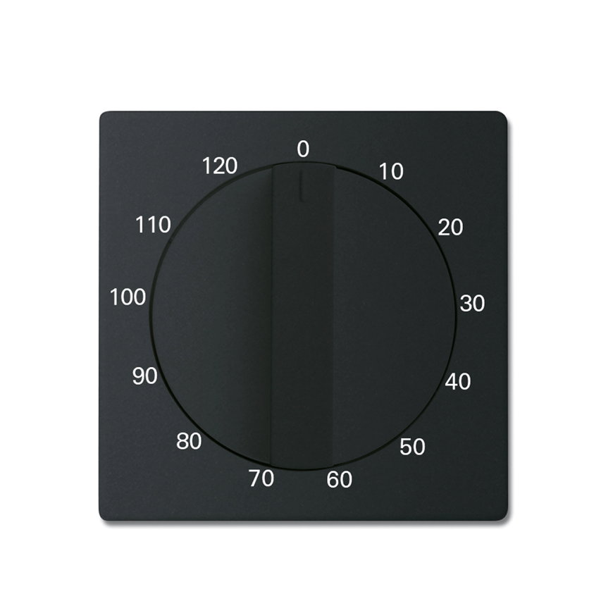 ABB Busch-Jaeger centraalplaat, Future linear, voor tijdschakelaar, 120 minuten, mat zwart