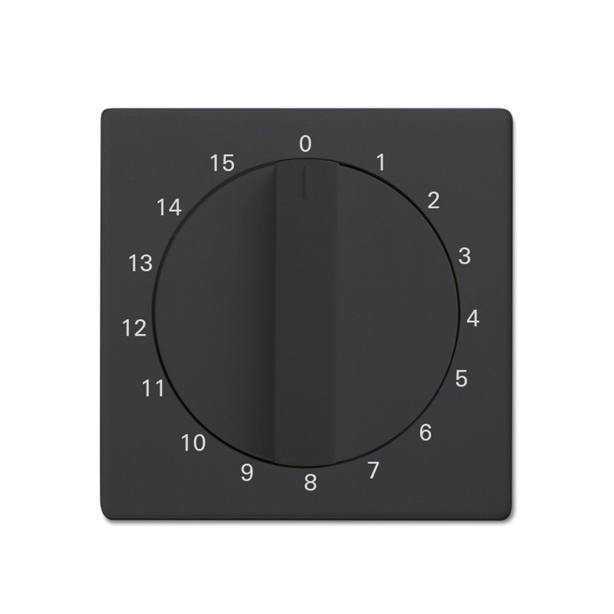 ABB Busch-Jaeger centraalplaat, Future linear, voor tijdschakelaar, 15 minuten, antraciet