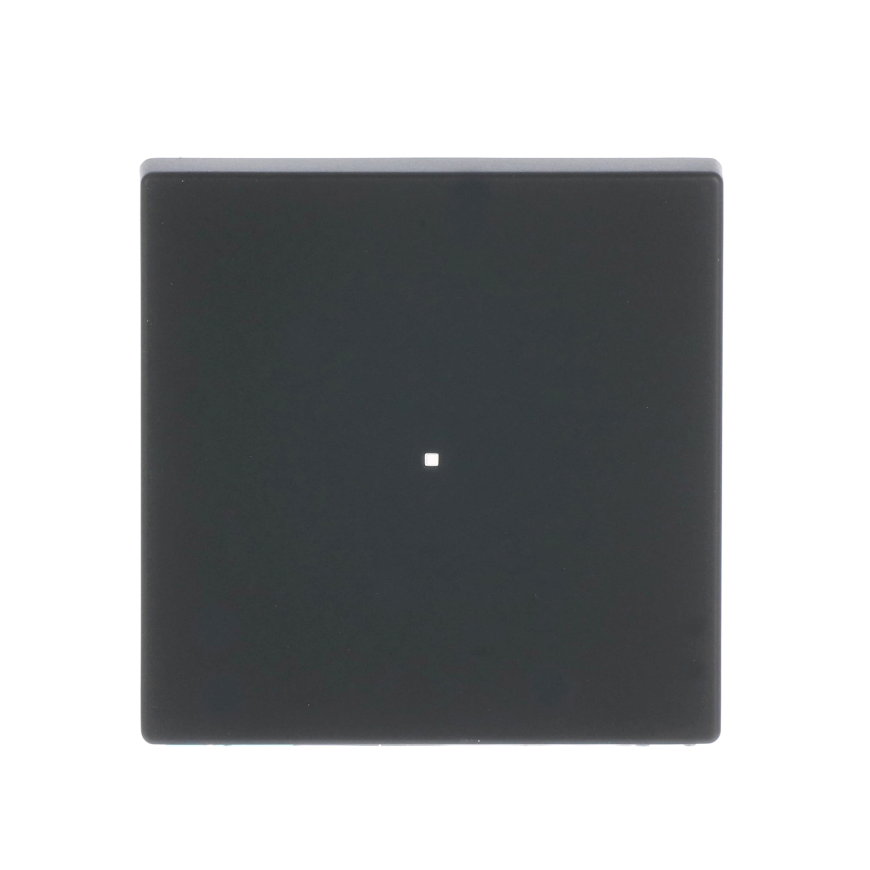 ABB Busch-Jaeger bedieningswip, voor free @home sensoreenheden, antraciet