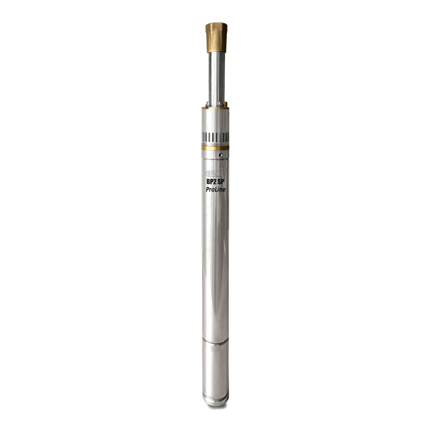 Elpumps bronpomp 2", rvs, BP 2 SP ProLine, 230 V, 1 kW 